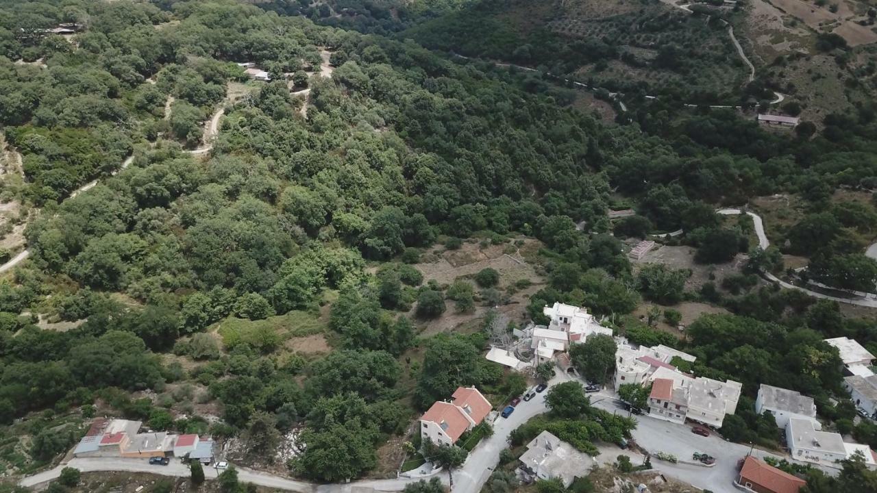 Irini΄S House Βίλα Αλώνες Εξωτερικό φωτογραφία